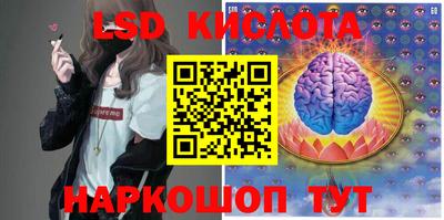 стаф Камышлов