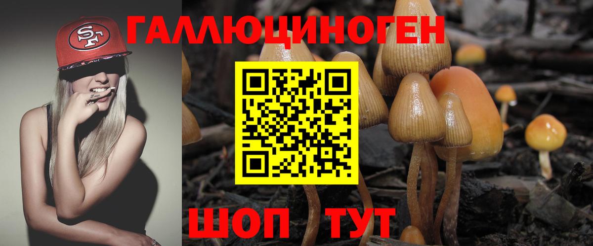 Псилоцибиновые грибы Psilocybe  Вход с VPN  как найти   Ишимбай 